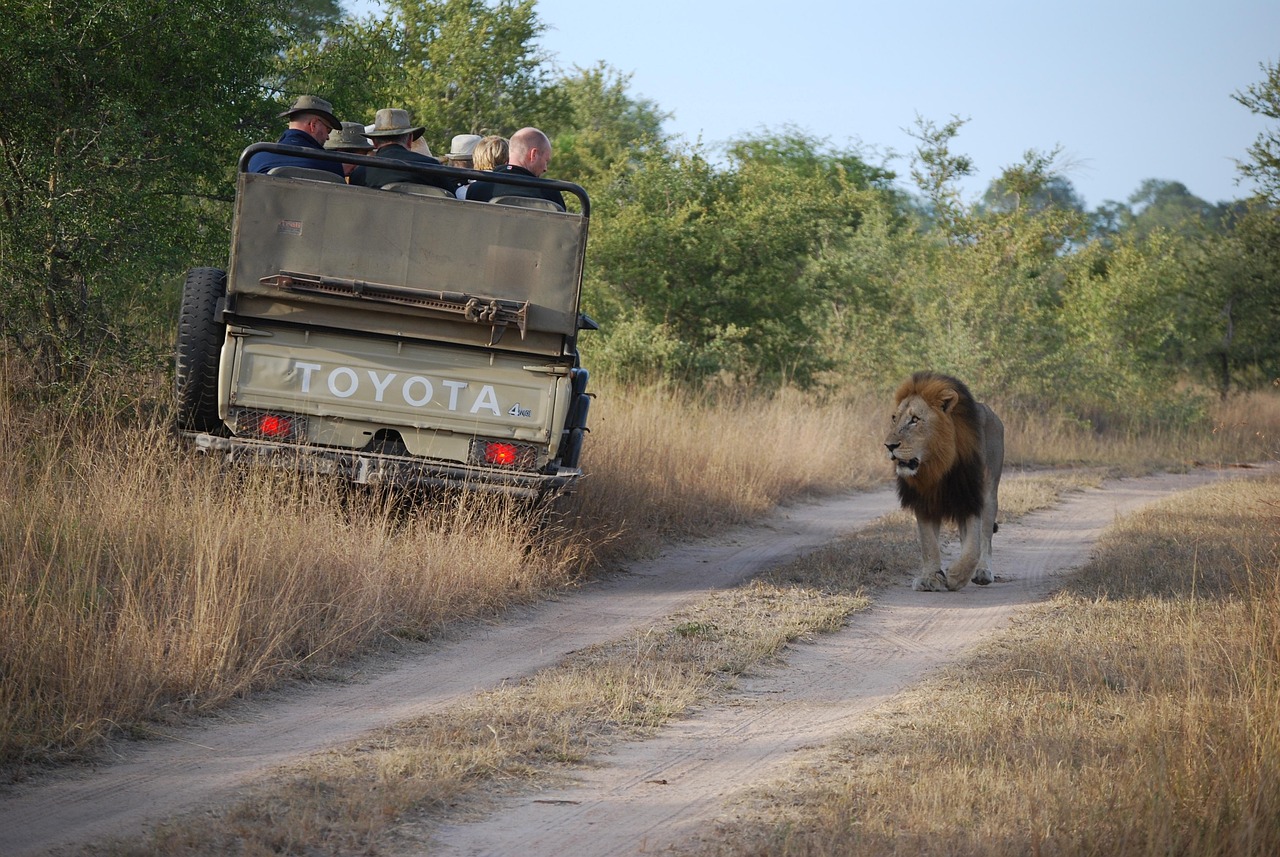 6 day photographic safari in serengeti
